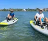 Two individuals are enjoying a sunny day out on the water each leisurely pedaling a sit-on-top kayak