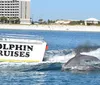 A dolphin leaps by a boat labeled DOLPHIN CRUISES near a sandy beach with buildings in the background