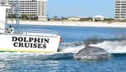 A dolphin leaps by a boat labeled 
