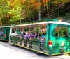 A tram full of passengers is touring through a wooded area with autumn foliage