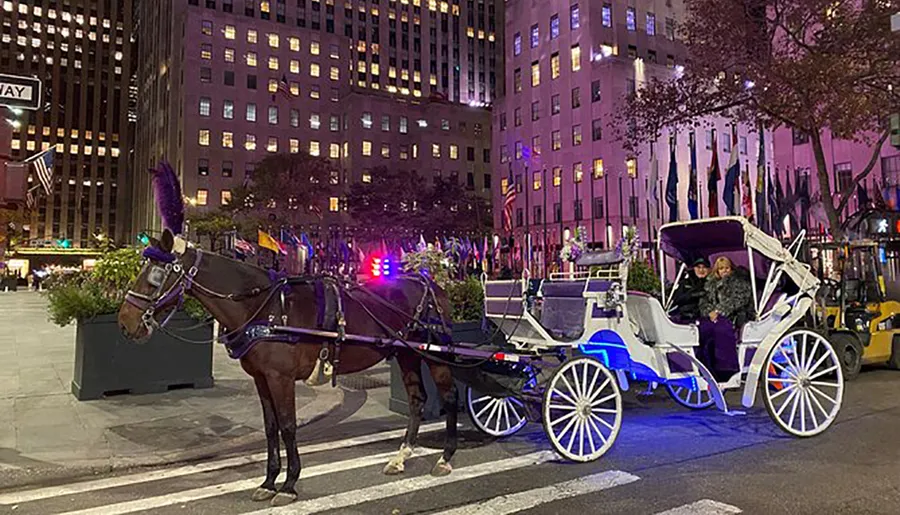 A horse-drawn carriage waits on an urban street at night with passengers on board, illuminated by city lights with buildings in the background.