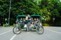 VIP Pedicab Guided Tour of New York Central Park Photo