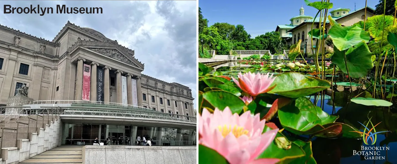 Brooklyn Museum and Botanical Gardens