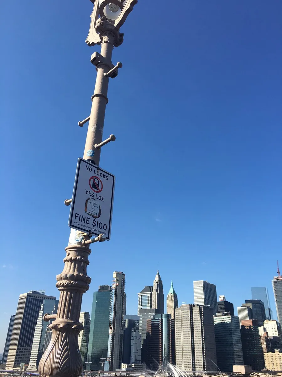 The image shows a lamppost with two conflicting signs about locks, one stating NO LOCKS, the other YES LOX, with a humorous fine warning, set against a clear blue sky and a backdrop of a city skyline.