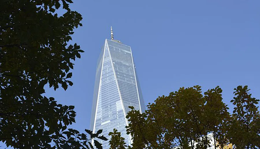 A skyscraper stretches towards the clear blue sky, framed by the green foliage of nearby trees.