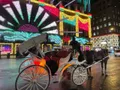 New York City Private Christmas Lights Horse and Carriage Tour Photo