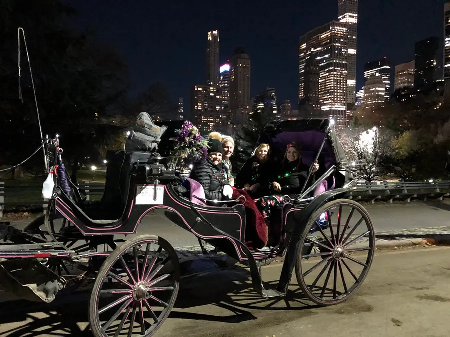 A horse-drawn carriage carrying passengers is stationed on a path with a vibrant city skyline illuminated in the background at night.