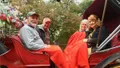 50 Minutes Central Park Horse and Carriage Tour Up to 4 Adults Photo