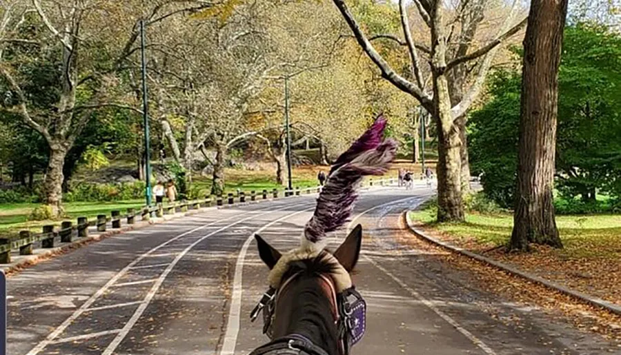 The image is taken from the perspective of a carriage rider looking down a tree-lined path in a park, with the ears and ornate plumage of a horse in the foreground and pedestrians in the distance.