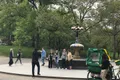 Classic 1 Hour 30 Mins Central Park Pedicab Tour Photo