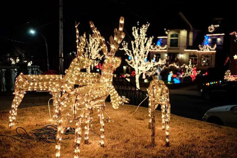 The image shows illuminated reindeer decorations glowing with white lights in a front yard at nighttime, part of a festive outdoor Christmas display.