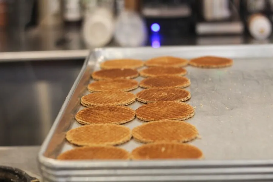 A tray of freshly baked, thin, round cookies cooling on a metal countertop in a kitchen environment.