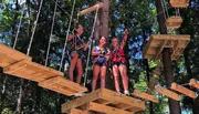 Three individuals are smiling and posing on a high ropes obstacle course amidst trees on a sunny day.