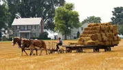 A person wearing a hat is riding a horse-drawn wagon loaded with hay bales through a field in front of a farmhouse.
