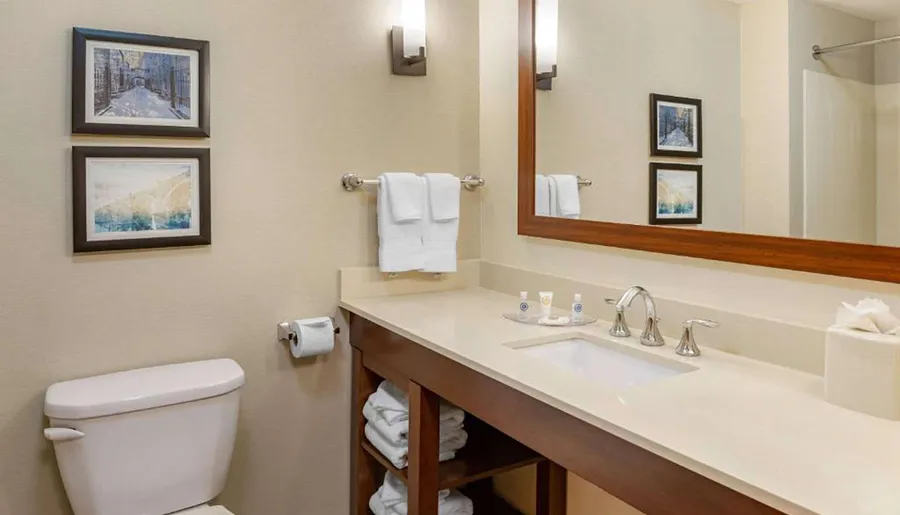 The image shows a neatly organized bathroom with a vanity counter, sink, mirror, toilet, and towels, accented by framed artwork on the wall.