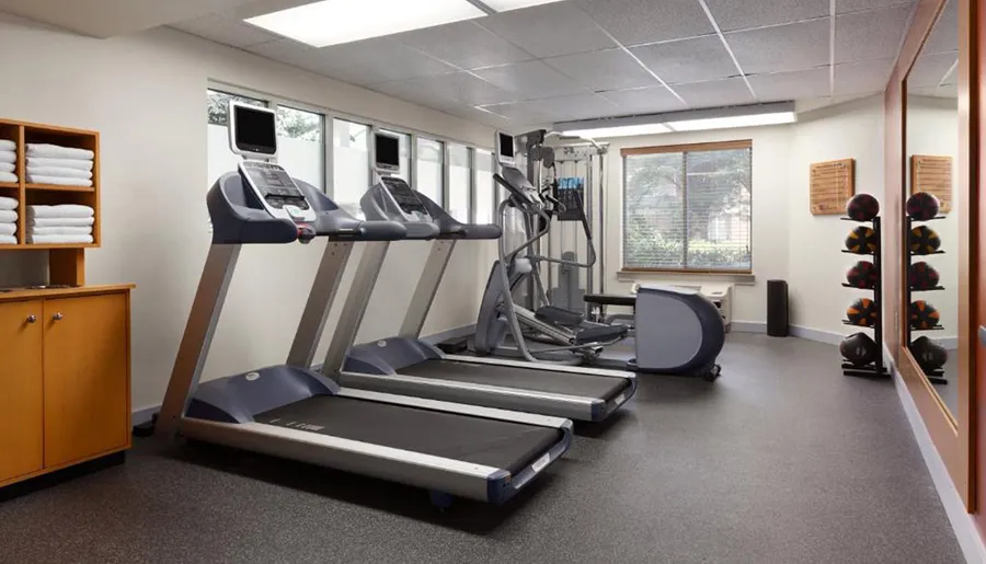 A small, tidy gym space equipped with treadmills, a weight machine, and free weights is illuminated with natural light from a window.