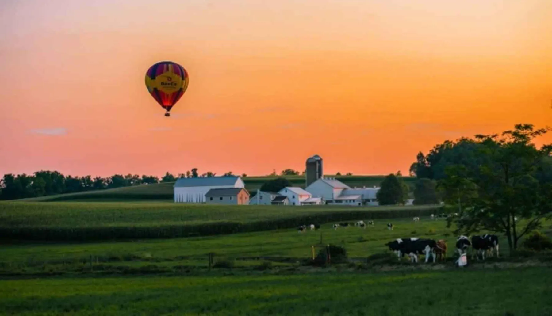 A hot air balloon floats above a pastoral farm scene with cows grazing as the sun sets, painting the sky in shades of pink and orange.