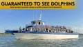Myrtle Beach Dolphin Cruise Murrells Inlet Photo