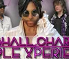 The image shows a promotional poster for the Marshall Charloff Purple Xperience featuring a charismatic performer in the foreground dressed reminiscent of Prince with a concert scene in the background