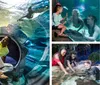 Two people are observing penguins swimming in a clear underwater tunnel at an aquarium