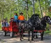A group of people enjoy a horse-drawn wagon ride in a wooded area