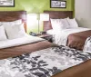 This image shows a tidy hotel room with two double beds each with brown bedspreads and a black and white floral-patterned top sheet flanking a shared nightstand and lamps against a lime green wall with art and a dark wood headboard
