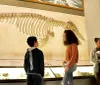 Several people including young visitors are observing the skeletal remains of a prehistoric creature on display in a museum exhibit