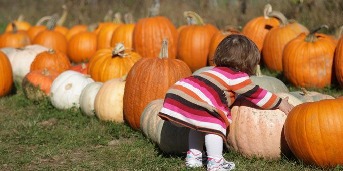 25 Pumpkin Patches in Alabama You Need to Visit This Fall