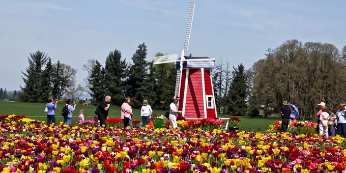 15 Gorgeous West Coast Flower Festivals You Need to See