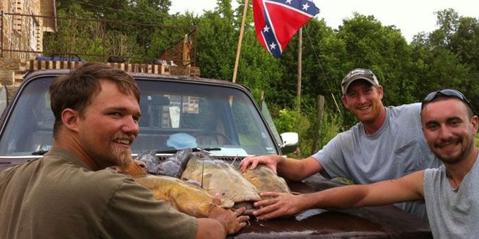 Moving in Jamboree Rednecks