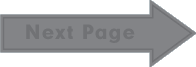 Next Page