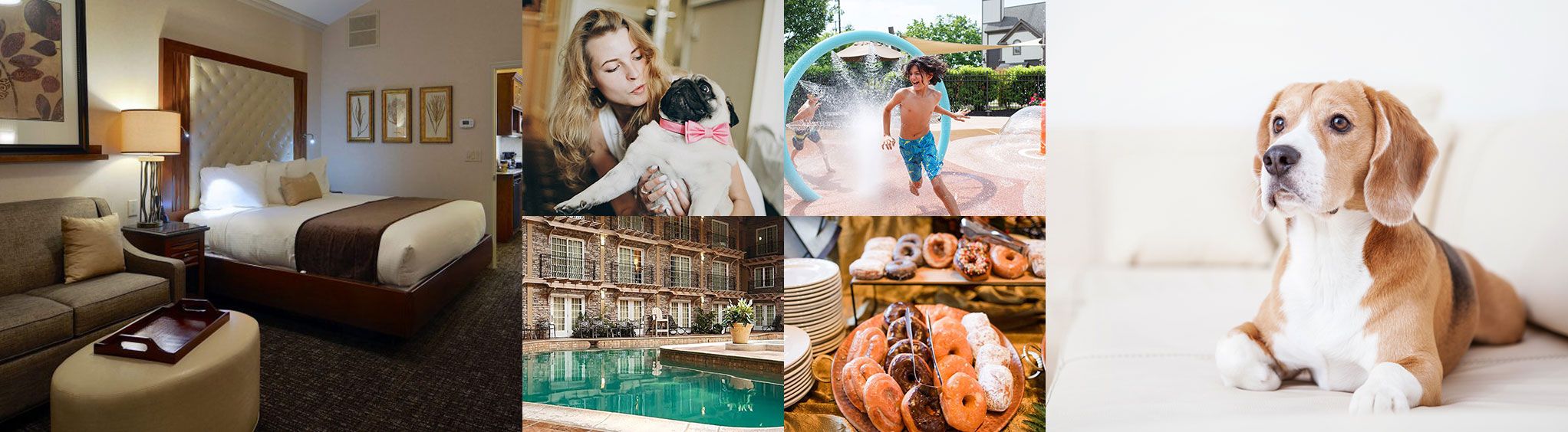 Pet Friendly Hotels in Lancaster, PA