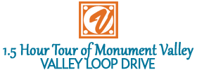 1.5 Hour Tour of Monument Valley's Valley Loop Drive