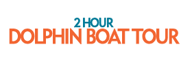 2 Hour Dolphin Boat Tour