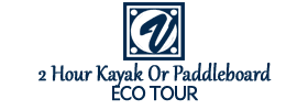 2 Hour Kayak Or Paddleboard Eco Tour