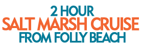 2-Hour Salt Marsh Cruise from Folly Beach