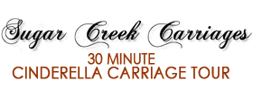 30 Minute Cinderella Carriage Tour 2019 Schedule