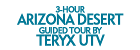 3-Hour Arizona Desert Guided Tour by Teryx Utv