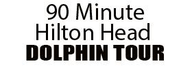 90 Minute Hilton Head Dolphin Tour 2022 Schedule