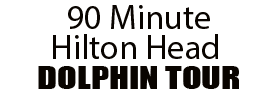 90 Minute Hilton Head Dolphin Tour