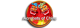 Acrobats of Branson