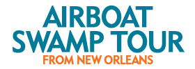 Airboat Swamp Tour from New Orleans
