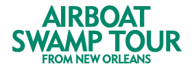 Airboat Swamp Tour from New Orleans