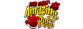 Amazing Pets Branson