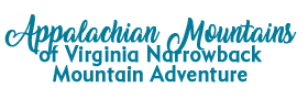 Appalachian Mountains of Virginia-Narrowback Mountain Adventure