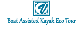 Boat Assisted Kayak Eco Tour (enp)