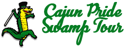 Cajun Pride Swamp Boat Tour