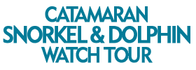 Catamaran Snorkel and Dolphin Watch Tour