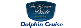 Charleston Dolphin Cruise Aboard The Schooner Pride 2019 Schedule