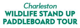 Charleston Wildlife Stand Up Paddleboard Tour